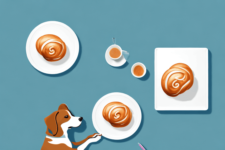 A curious dog sitting next to a table with a plate of hawaiian sweet rolls