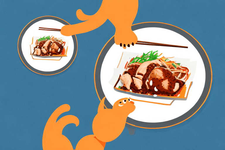 A curious dog sitting in front of a plate of chicken teriyaki