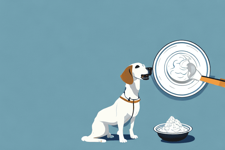 A curious dog sitting next to a bowl of ricotta cheese