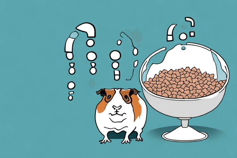 A curious guinea pig looking at a bowl of dog food with a question mark above its head