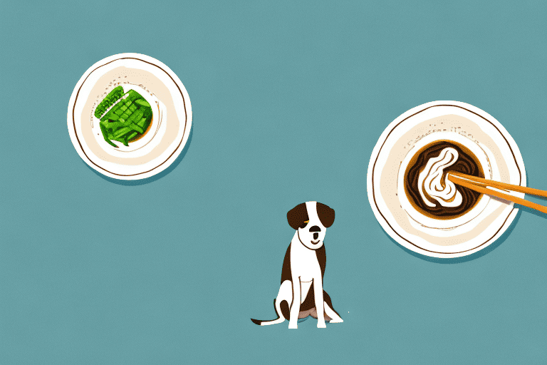 A curious dog sitting next to a bowl of miso soup