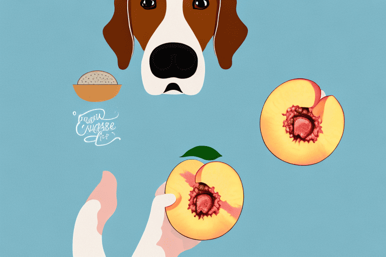 A curious dog looking longingly at a freshly baked peach cobbler sitting on a kitchen counter