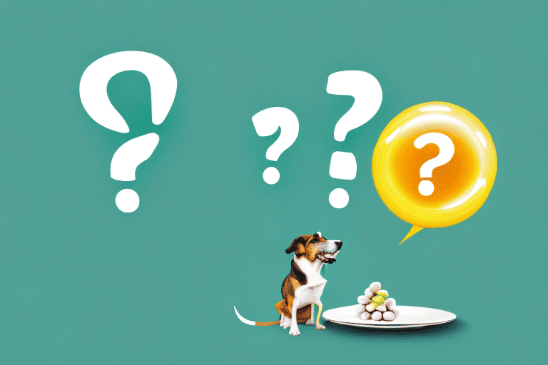 A curious dog sniffing a pile of jujubes on a plate