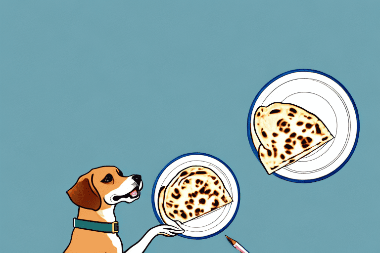 A curious dog sitting in front of a plate with a piece of naan bread on it