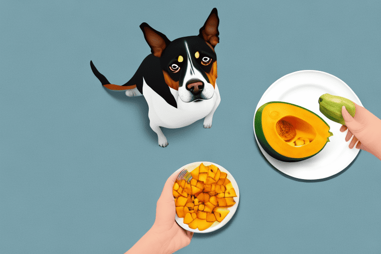 A dog curiously sniffing a piece of kabocha squash on a plate