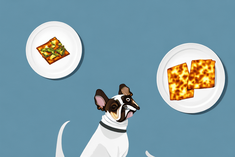 A curious dog sitting next to a plate of paneer
