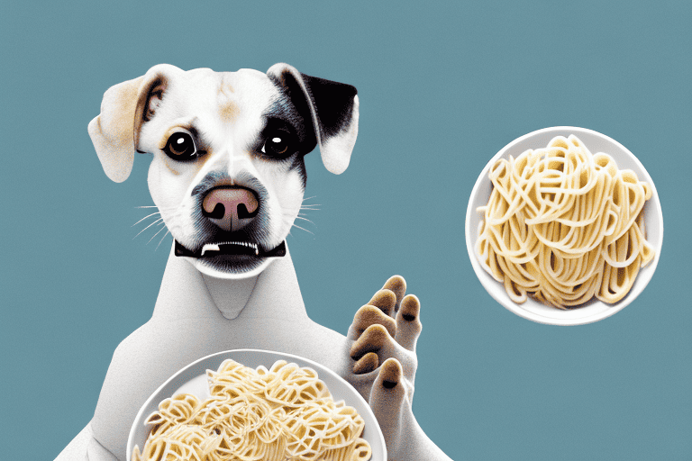 A curious dog sitting next to a bowl of chicken alfredo pasta