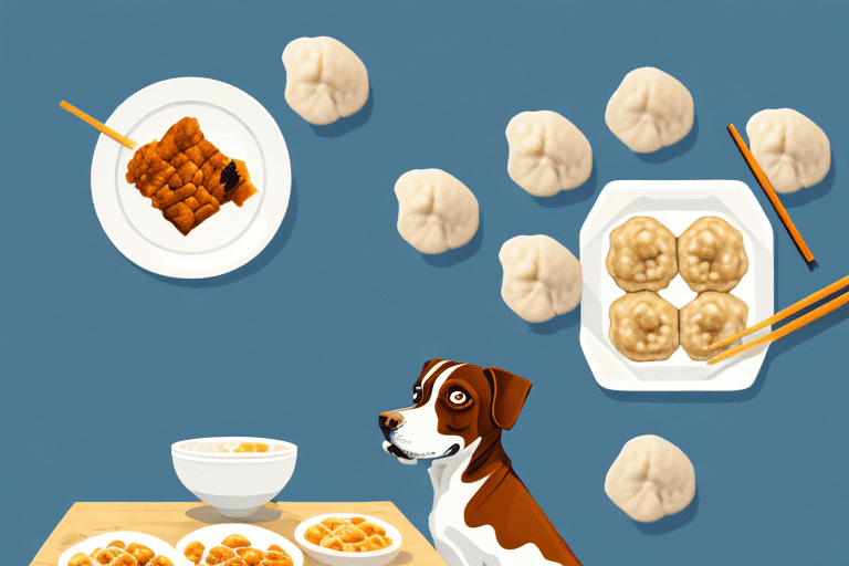 A curious dog sitting in front of a plate of dumplings