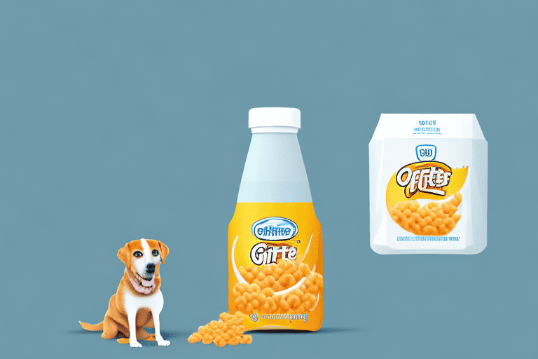 A curious dog sitting next to an open container of gerber puffs