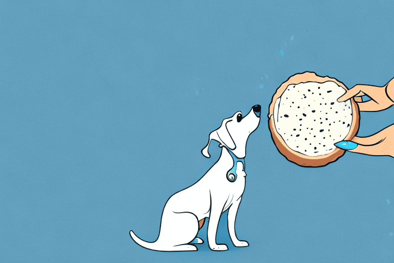 A curious dog sniffing a piece of gorgonzola cheese on a plate
