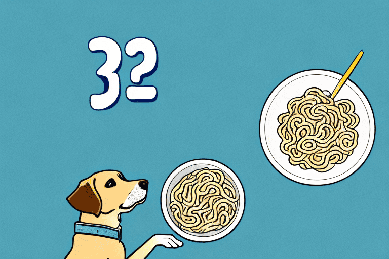 A curious dog sitting next to a bowl of top ramen