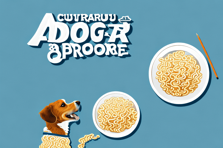 A curious dog sitting next to an open packet of ramen noodles on a kitchen countertop