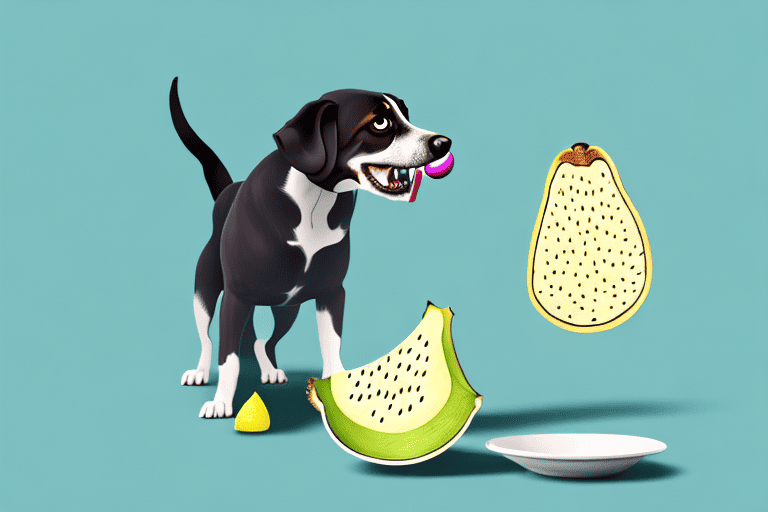 A curious dog sniffing a soursop fruit on a table