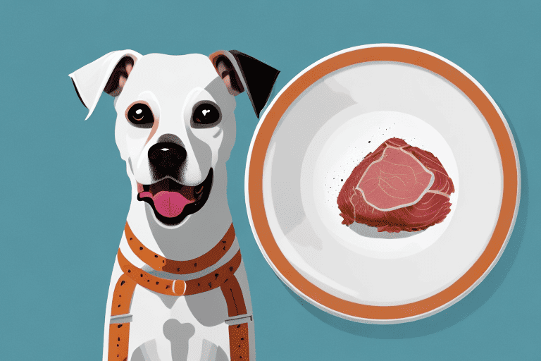 A curious dog sitting in front of a raw turkey neck on a plate