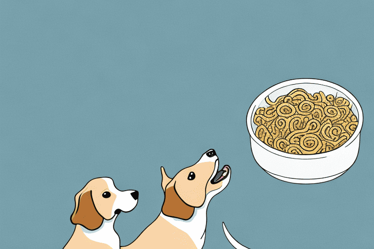 A curious dog looking at a bowl filled with dried pasta