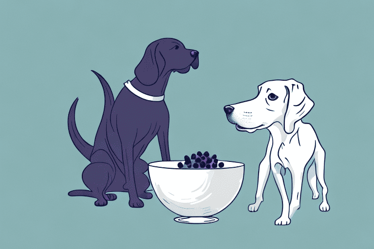 A curious dog sniffing at a bowl filled with acai berries