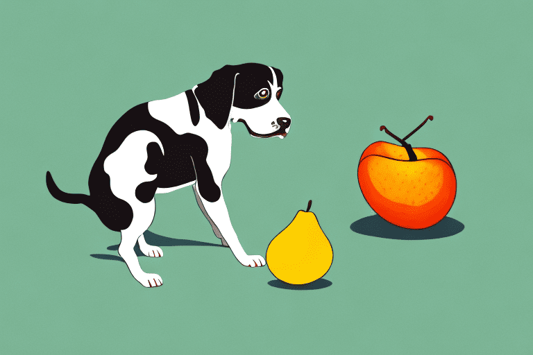 A curious dog sniffing at a loquat fruit that's lying on the ground