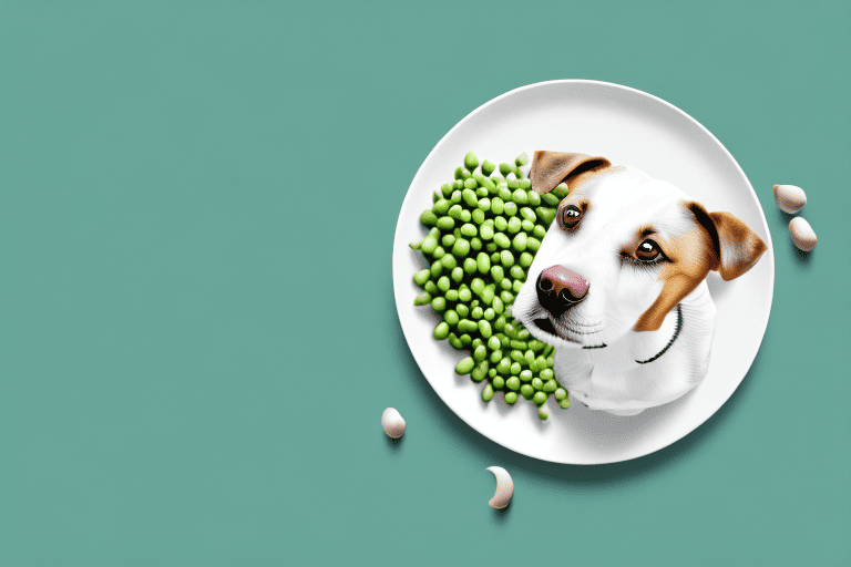 A curious dog sniffing a pile of broad beans on a plate