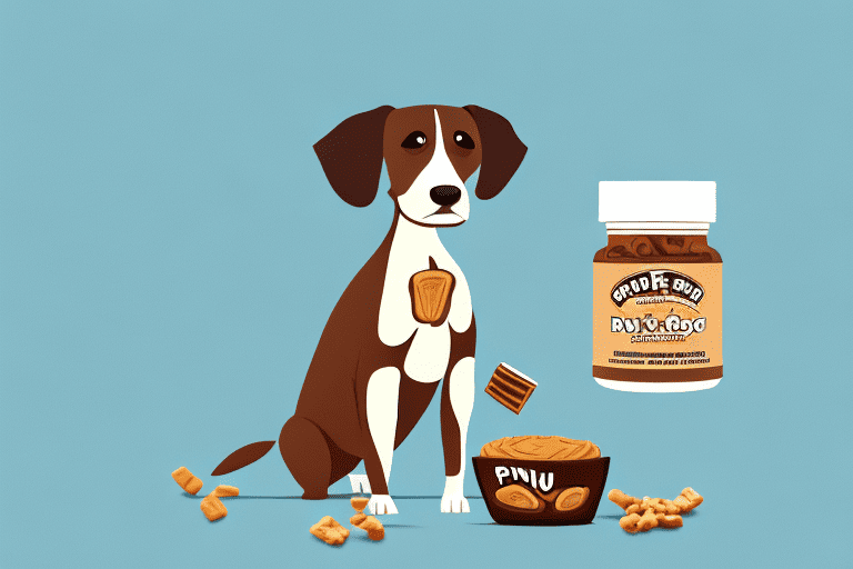 A curious dog sitting in front of a piece of peanut butter fudge