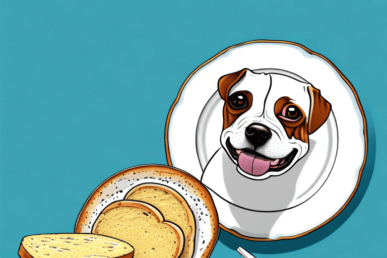 A dog sitting in front of a plate with a piece of keto bread
