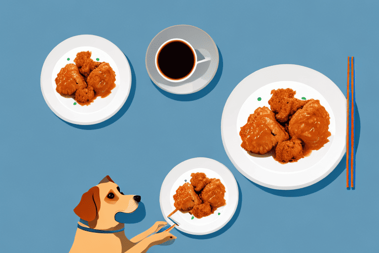 A curious dog looking at a plate of sesame chicken
