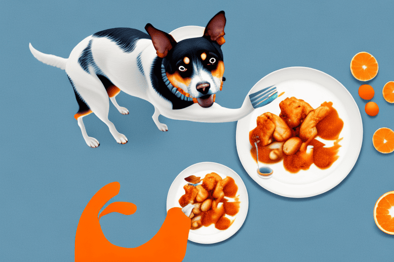 A curious dog looking at a plate of orange chicken with a questioning expression