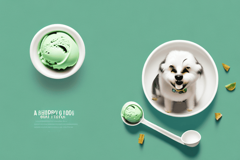 A happy dog sitting next to a bowl of green tea ice cream