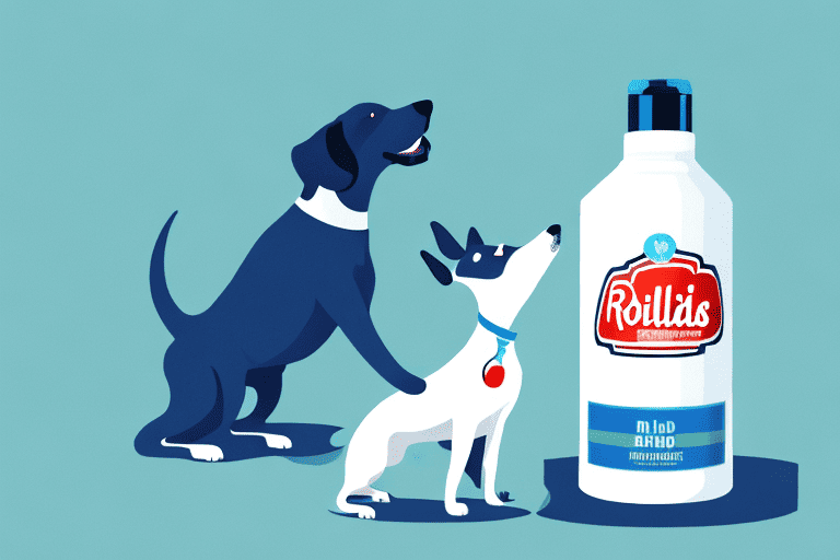 A curious dog sniffing a bottle of rolaids placed on a table