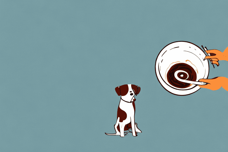 A curious dog sniffing a bowl of teriyaki sauce