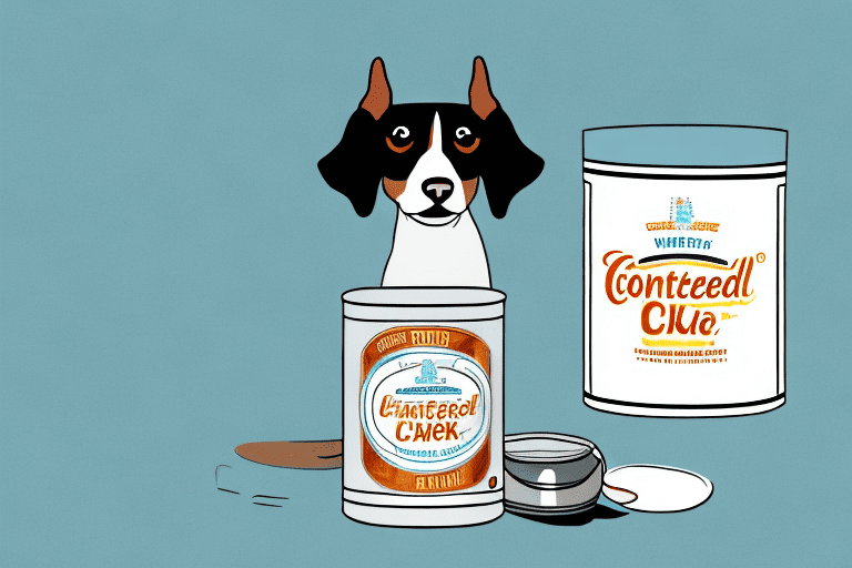 A curious dog looking at a can of sweetened condensed milk on a kitchen counter