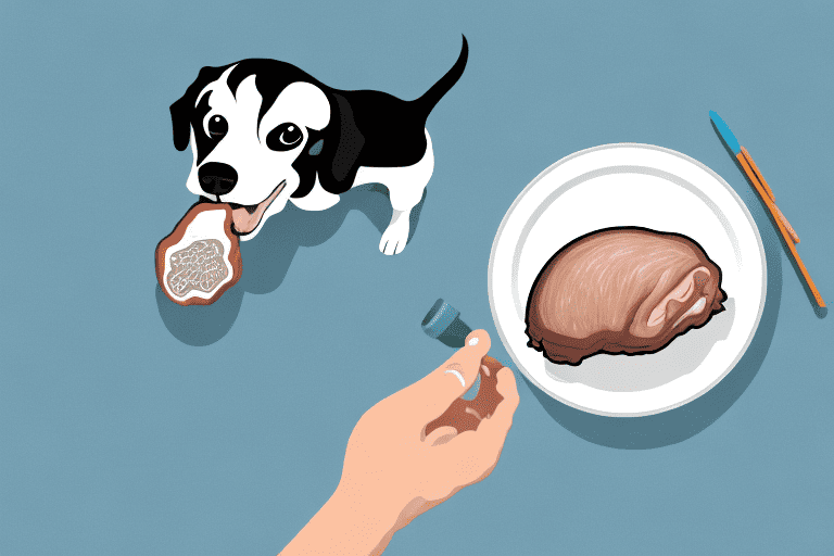 A curious dog looking at a pork butt bone placed on a plate
