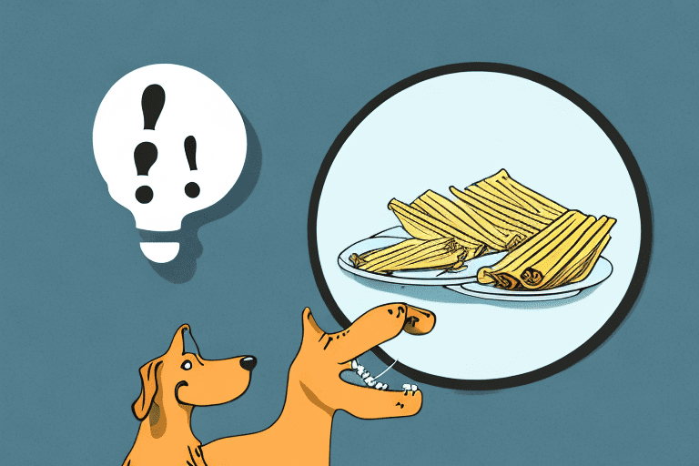 A curious dog looking at a plate of tamales